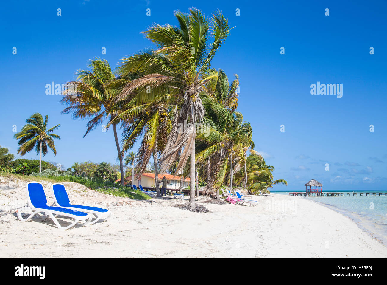 Palmiers et la plage, Playa El Paso, Cayo Guillermo, Jardines del Rey, province de Ciego de Avila, Cuba, Antilles, Caraïbes Banque D'Images