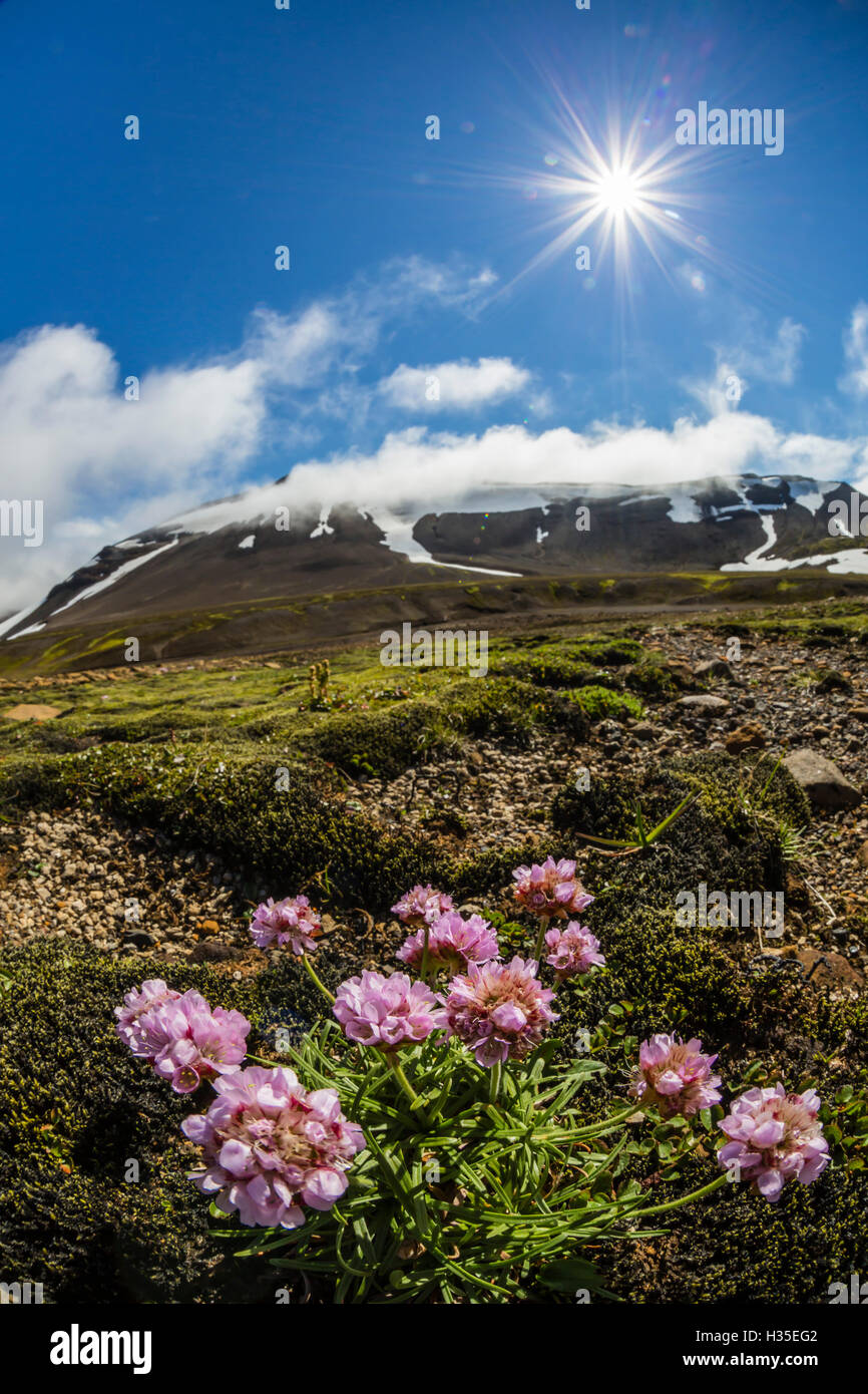 Une vue sur le volcan Snaefellsjokull, Parc National de Snæfellsnes, Péninsule de Snæfellsnes, l'Islande, les régions polaires Banque D'Images
