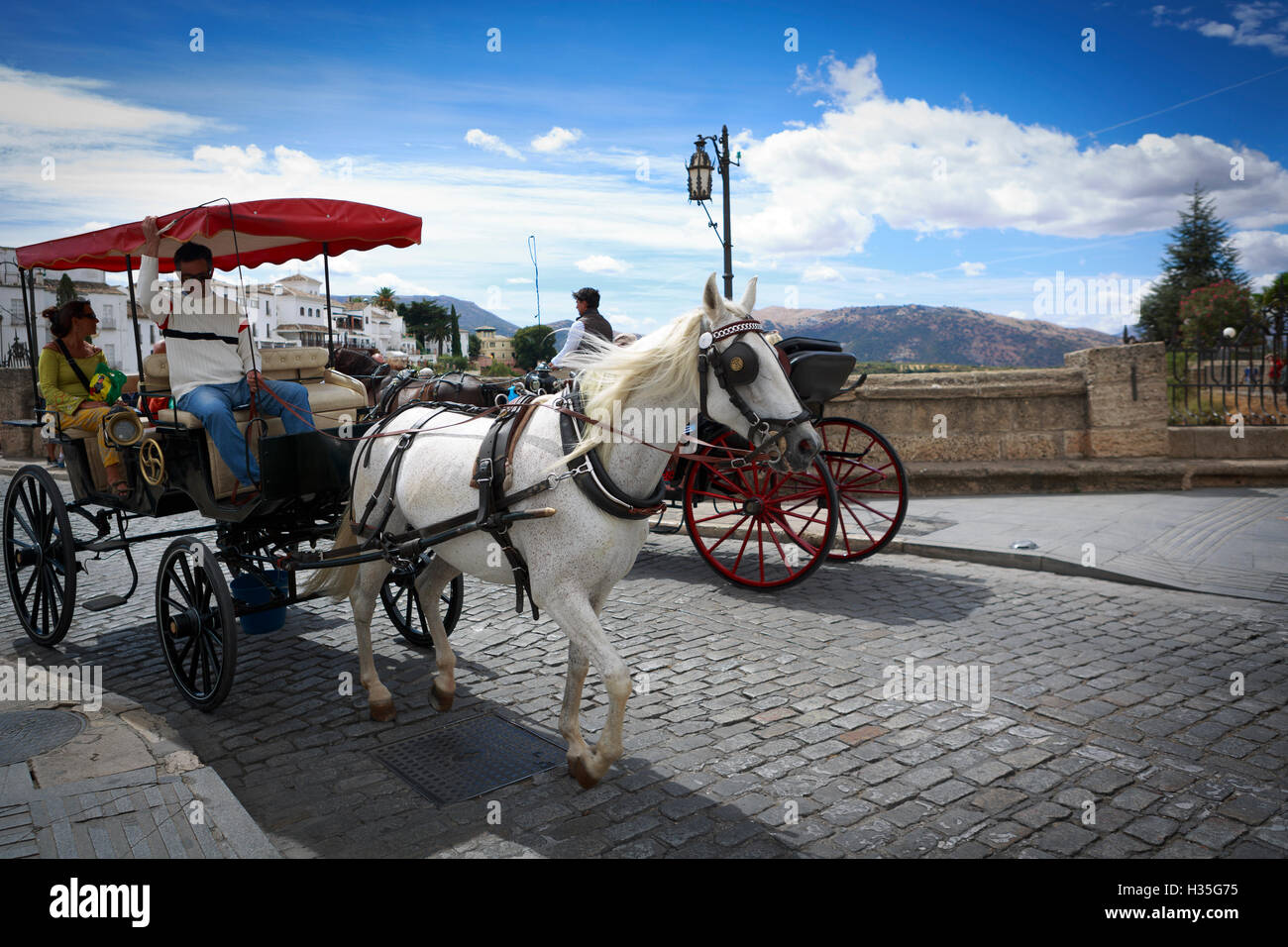 L'Andalousie, espagne. Transport de chevaux dans la région de Ronda. Malaga. Pako Mera Banque D'Images