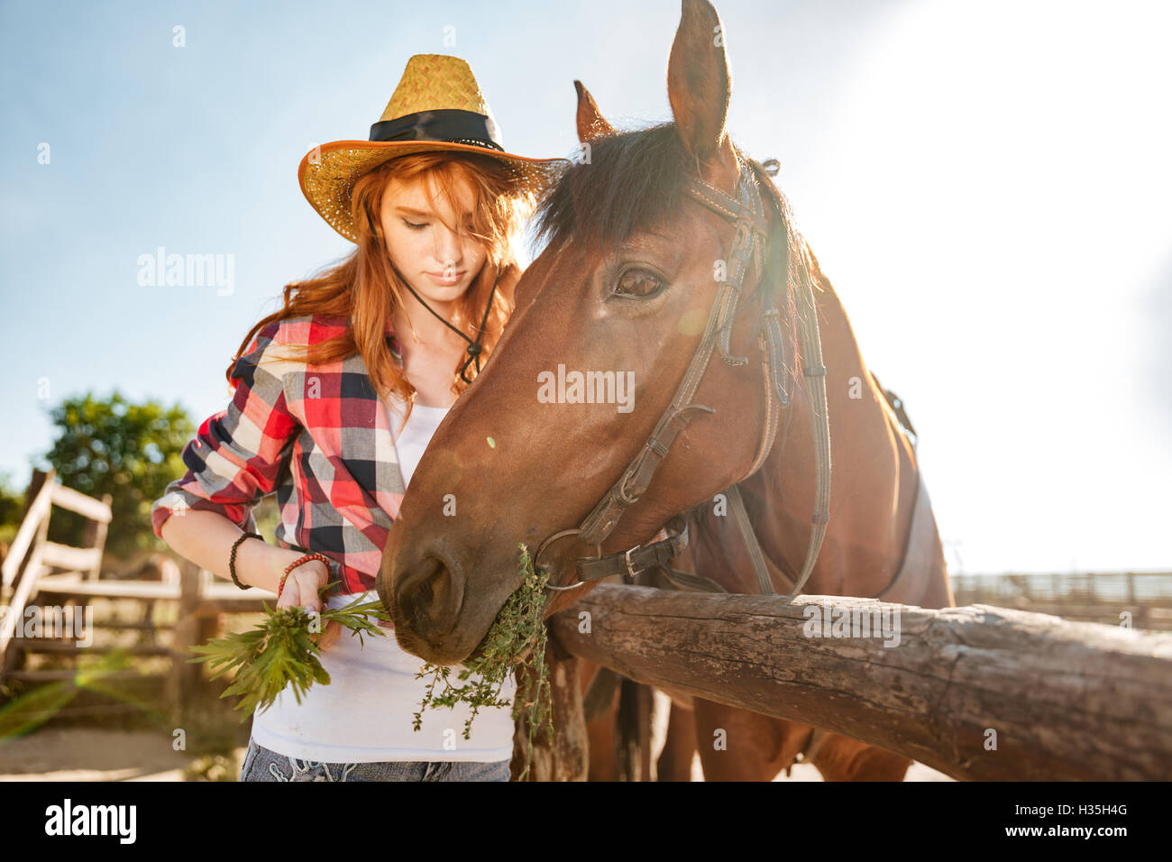 Belle jeune femme rousse en prenant soin de cowgirl et givivn à  l'alimentation Photo Stock - Alamy