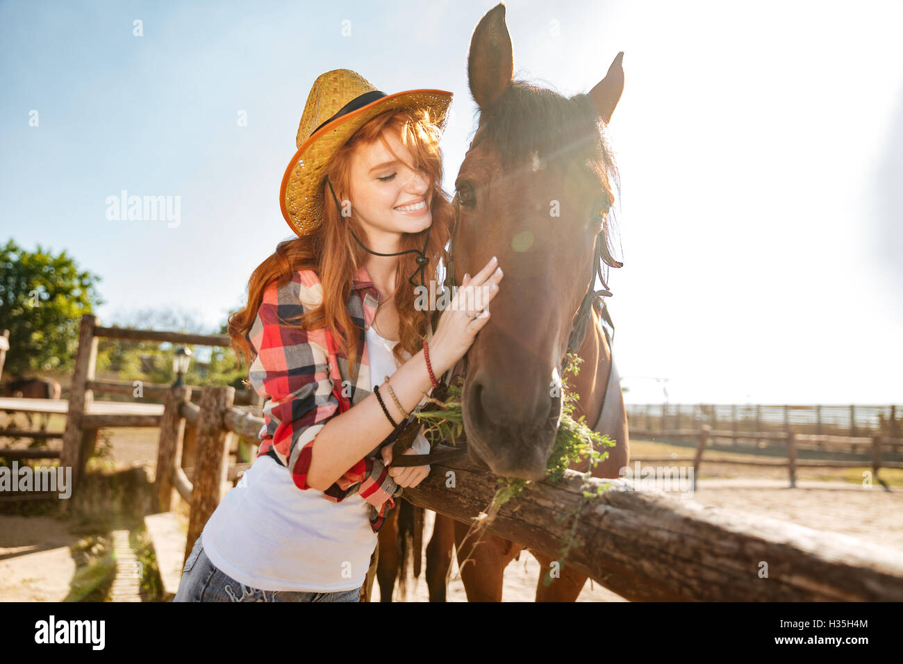 Smiling young woman cowgirl prendre soin et s'étreindre son cheval Banque D'Images