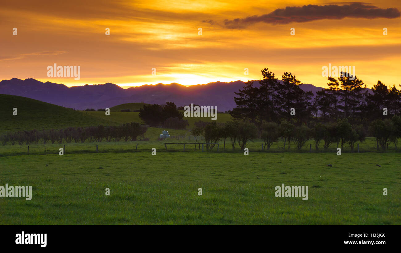 Magnifique paysage de Kaikoura que soleil se couche au-delà de la gamme de montagne au cours de la ferme, l'herbe verte. Banque D'Images