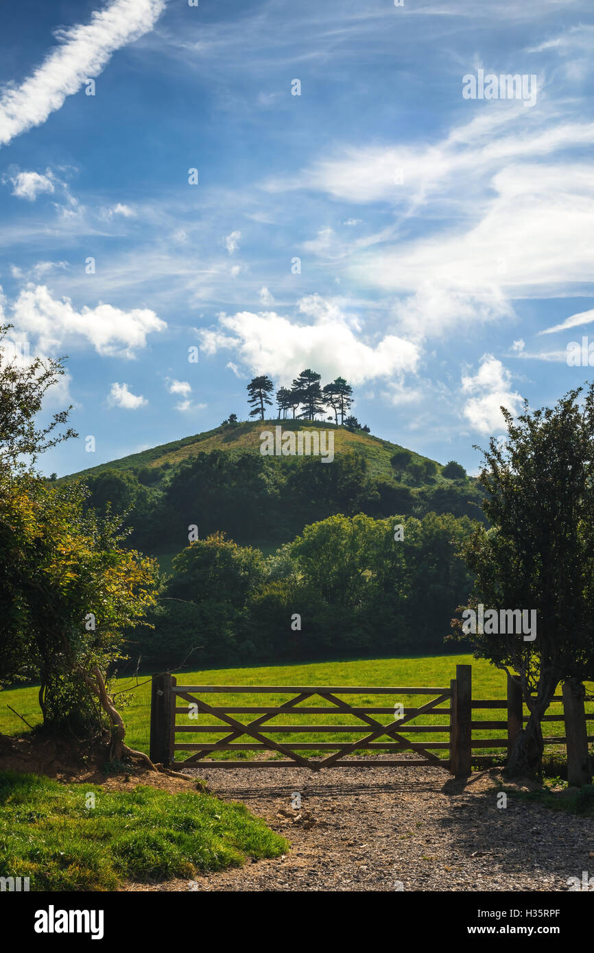 Summer Colmer Hill Banque D'Images