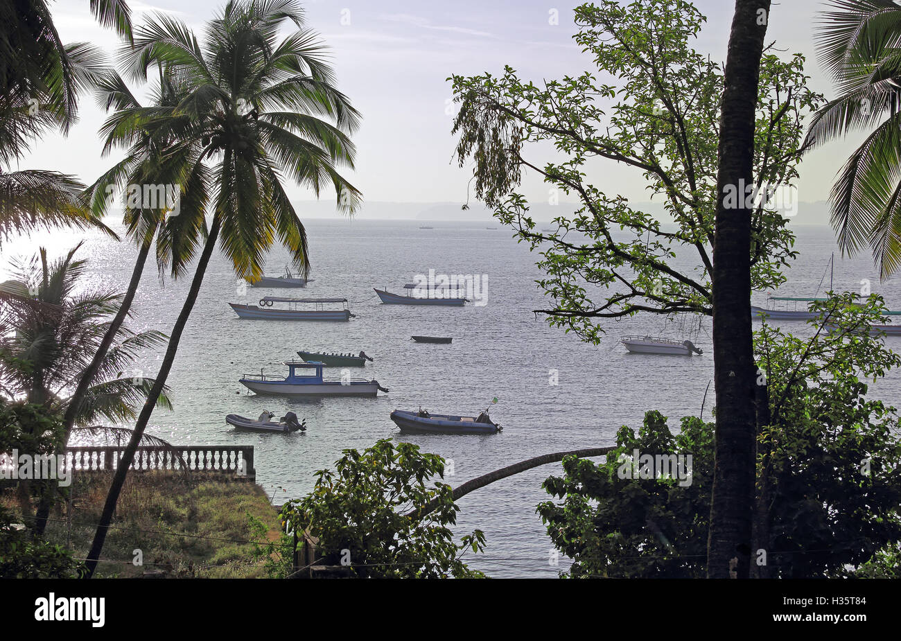 Matin tranquille scène de pêche, bateaux de vitesse et touristiques ancrées à Dona Paula bay dans la région de Goa, en Inde. Banque D'Images