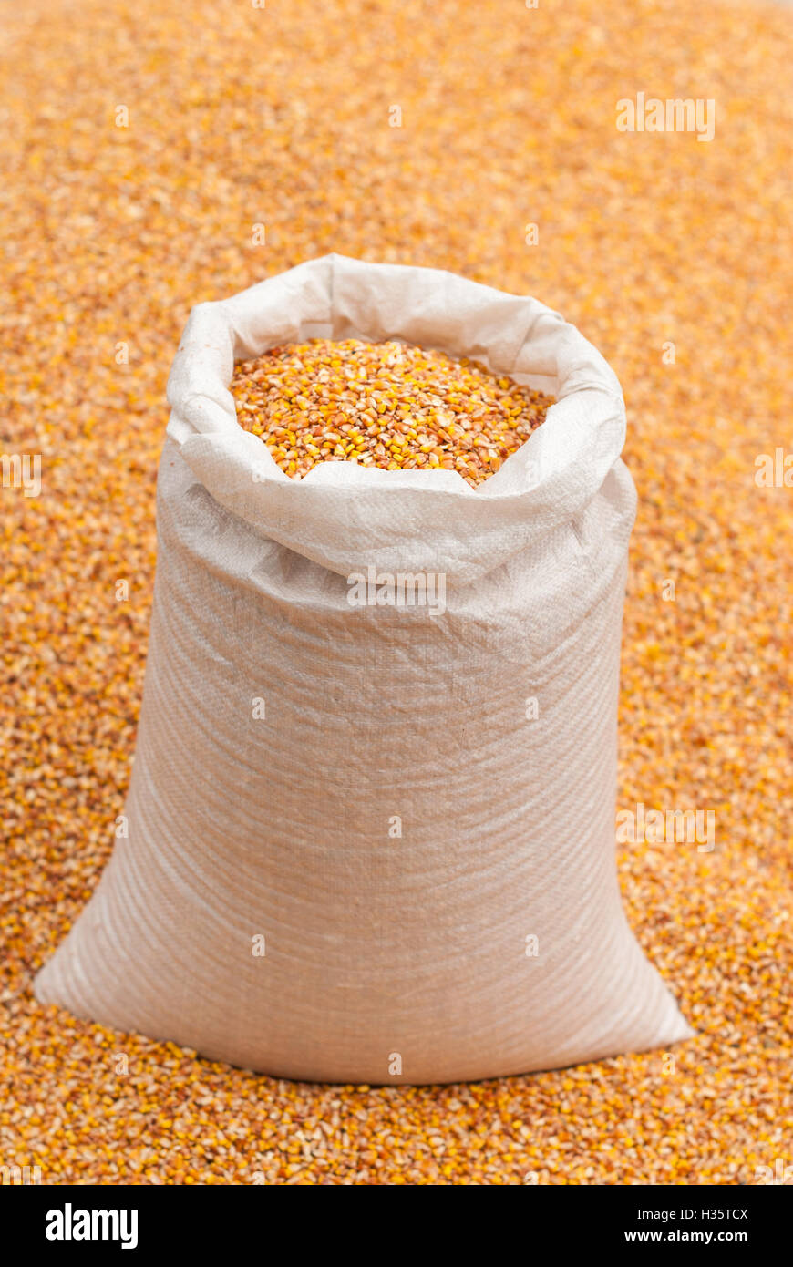 Le grain de maïs dans un sac. Banque D'Images