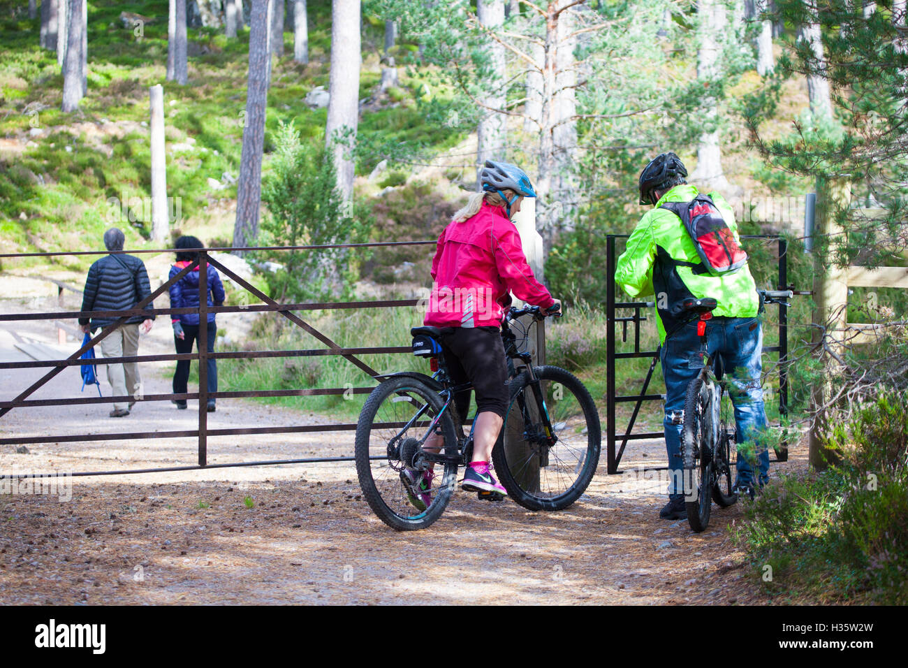 Cyclistes et randonneurs appréciant le sentier autour de Loch an Eilein, Rothiemurchus, Rothiemurchus, Aviemore, Highlands, Scotland Banque D'Images