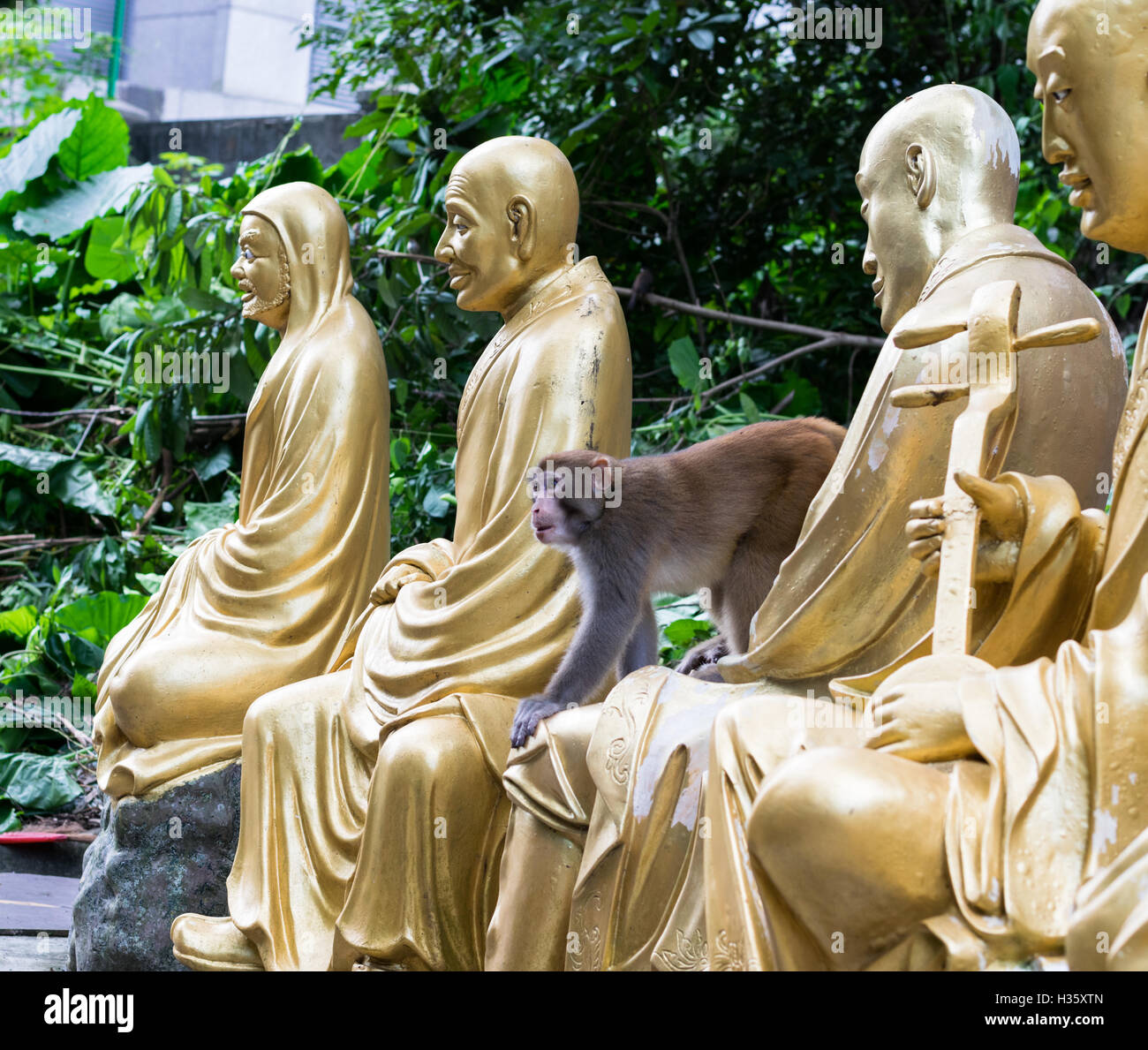 Chez les macaques rhésus sauvages 10 000 statues de Bouddhas au monastère à Hong Kong Banque D'Images