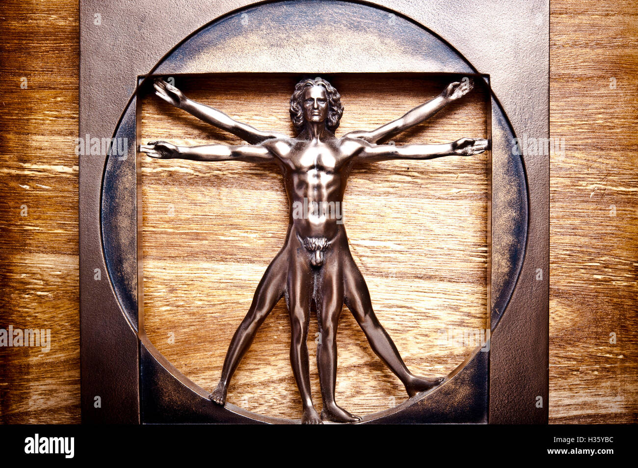 Sculpture l'homme de Vitruve Banque D'Images