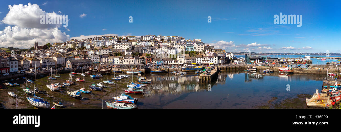 Go - DEVON : Brixham Harbour avec Torbay montrant en arrière-plan Banque D'Images