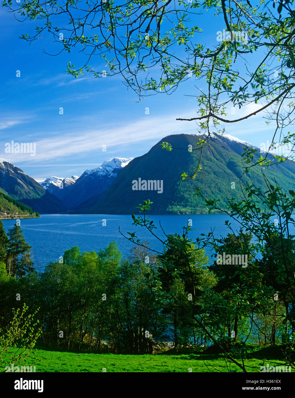 Sognefjord, Sogn og Fjordane, Norvège Banque D'Images