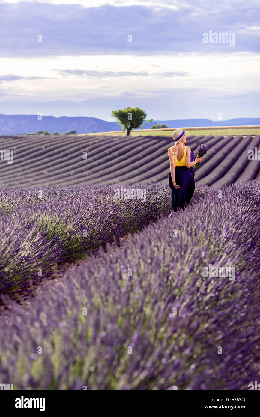 Femme sur le champ de lavande Banque D'Images