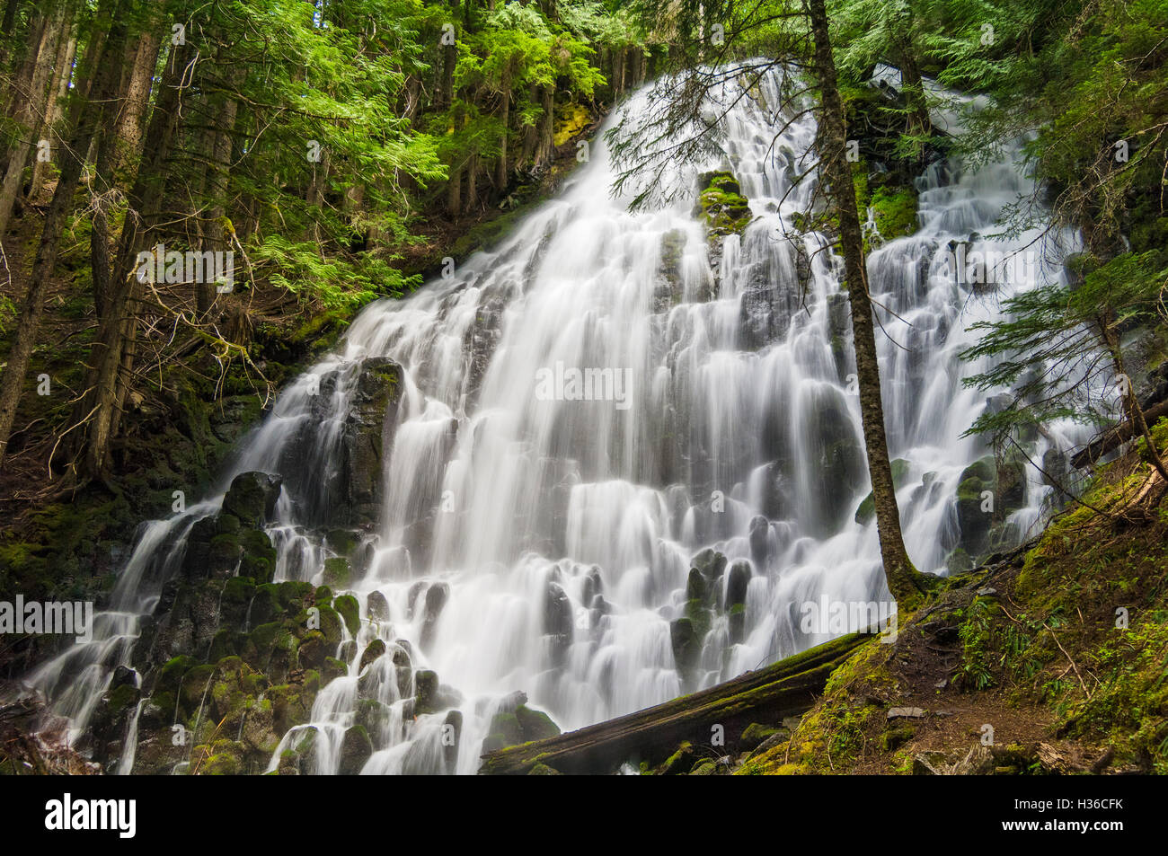 Ramona Falls, Mount Hood Wilderness, Oregon. Banque D'Images