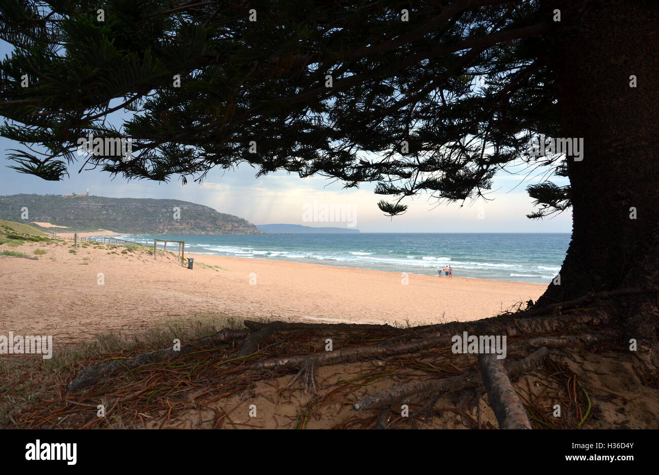 Palm Beach L'une des plages du nord de l'emblématique Sydney Banque D'Images