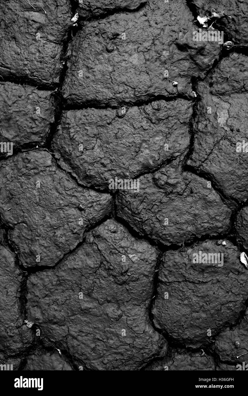 Sol brun sec fissuré dans la sécheresse Banque D'Images