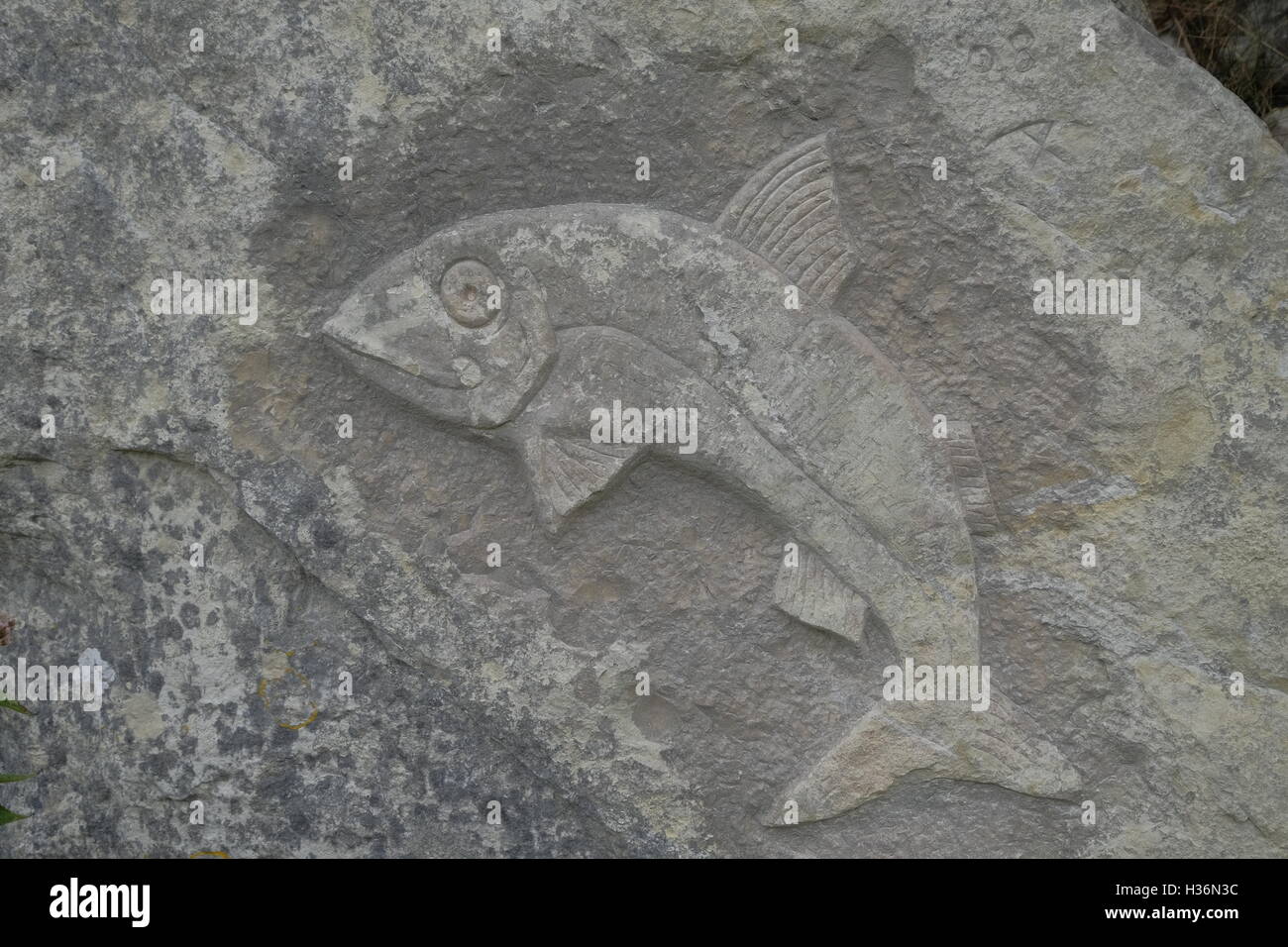 Une sculpture d'un poisson dans la pierre de Portland. Prises dans la carrière de tout parc de sculptures, Portland, Dorset. Banque D'Images