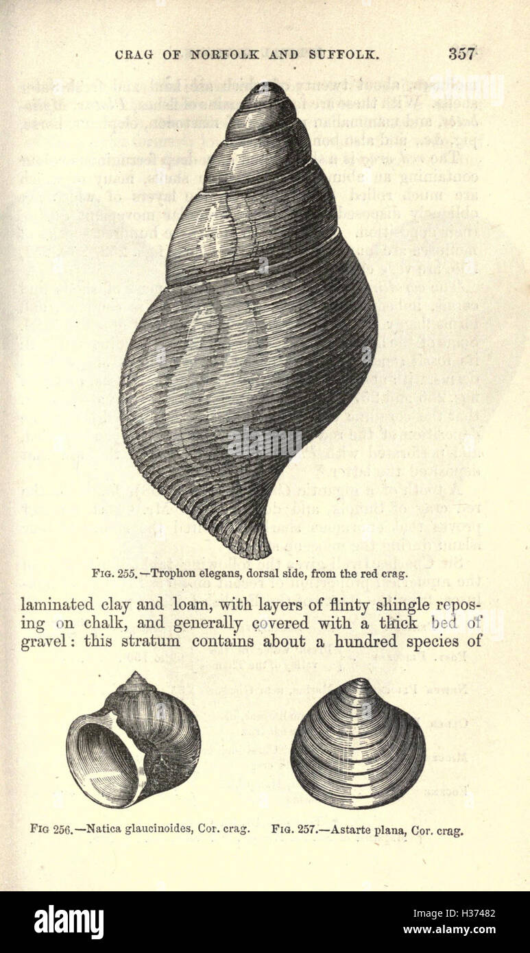 Ce travail d'introduction à la géologie couvre les principes fondamentaux de la structure de la Terre, les processus géologiques et l'histoire de la formation de la Terre. Banque D'Images