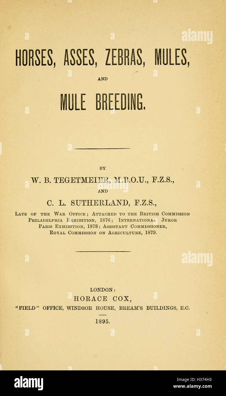 Cette section se concentre sur les différentes espèces d'équidés, y compris les chevaux, les ânes, les zèbres et les mules. Il couvre l'élevage des mulets, la relation entre ces animaux et leurs utilisations dans l'agriculture et le transport. Banque D'Images