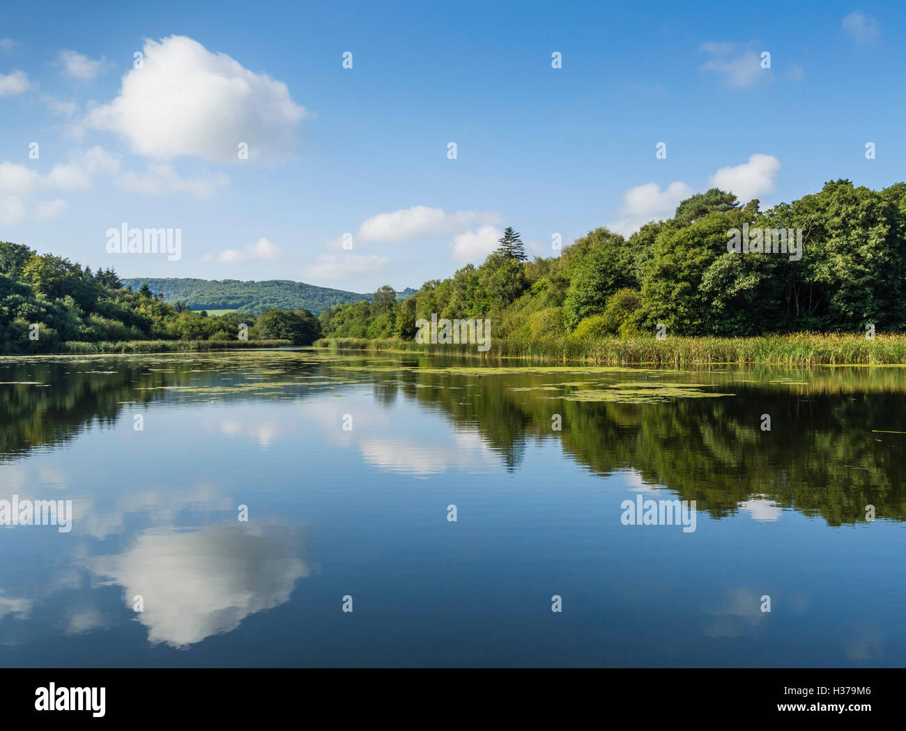 Burton Mill Pond, Parc National des South Downs, Petworth, Sussex, UK Banque D'Images