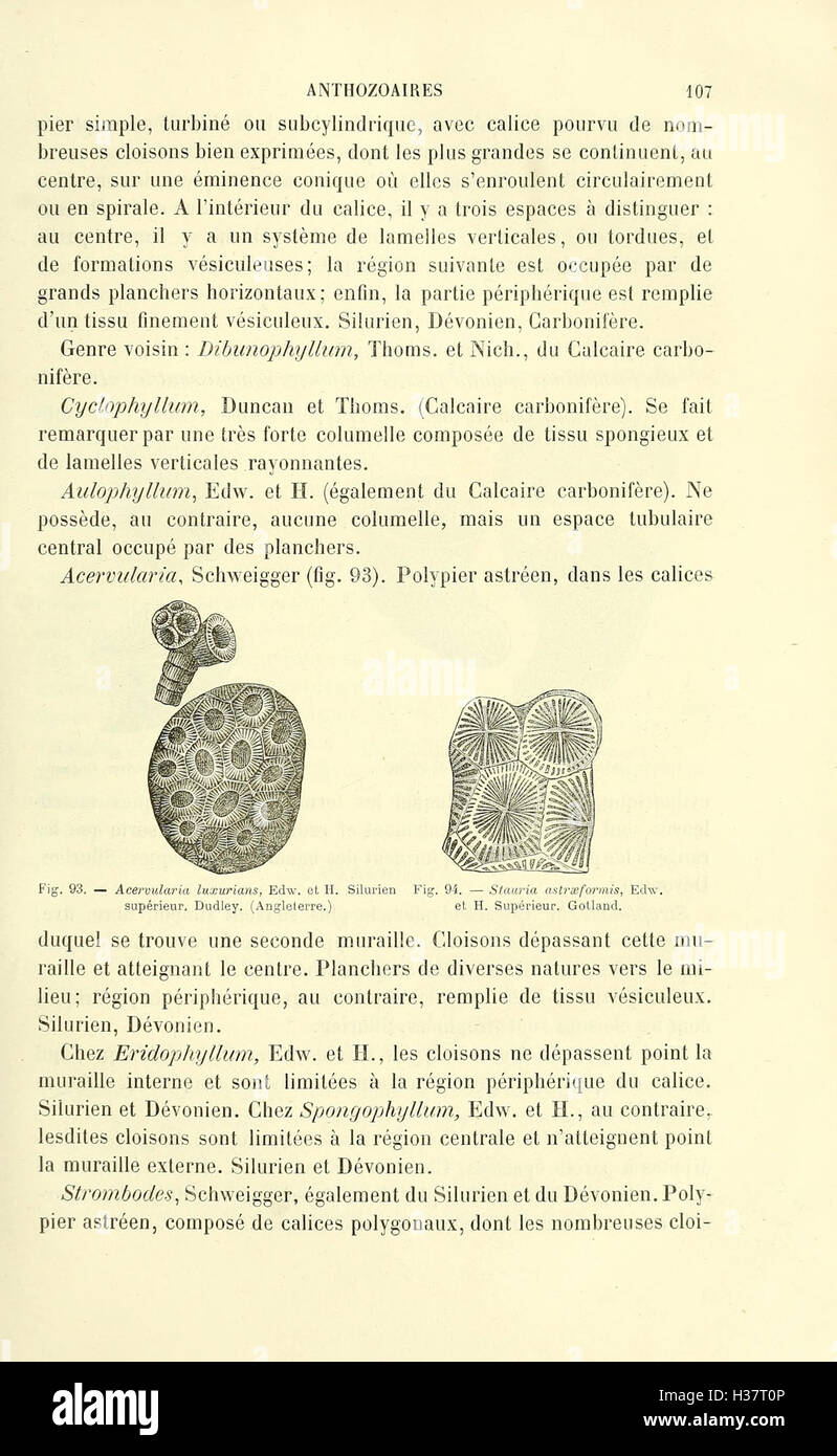 Ce manuel fournit des informations complètes sur la paléontologie, en se concentrant sur les registres fossiles, la classification des espèces et l'histoire géologique. Banque D'Images