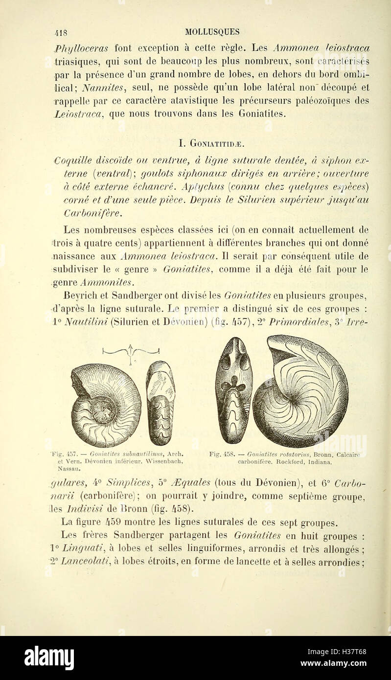 Ce manuel français de paléontologie propose une étude complète de la vie préhistorique, en se concentrant sur l'identification des fossiles, la classification des espèces et les processus évolutifs des organismes anciens. Banque D'Images
