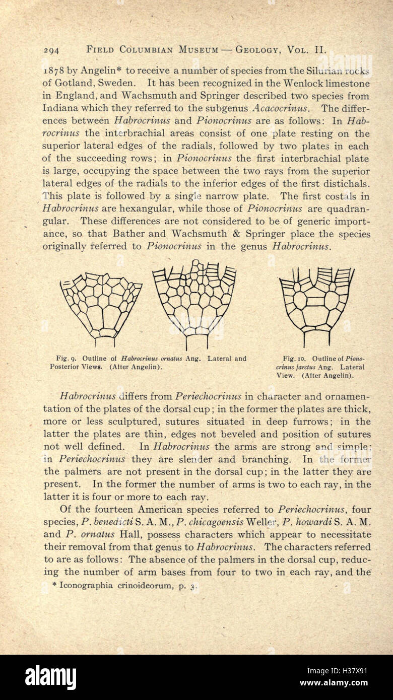 Cette recherche présente de nouvelles espèces de crinoïdes découvertes dans la région de Chicago, contribuant ainsi à l’étude de la vie marine et des archives fossiles. Banque D'Images