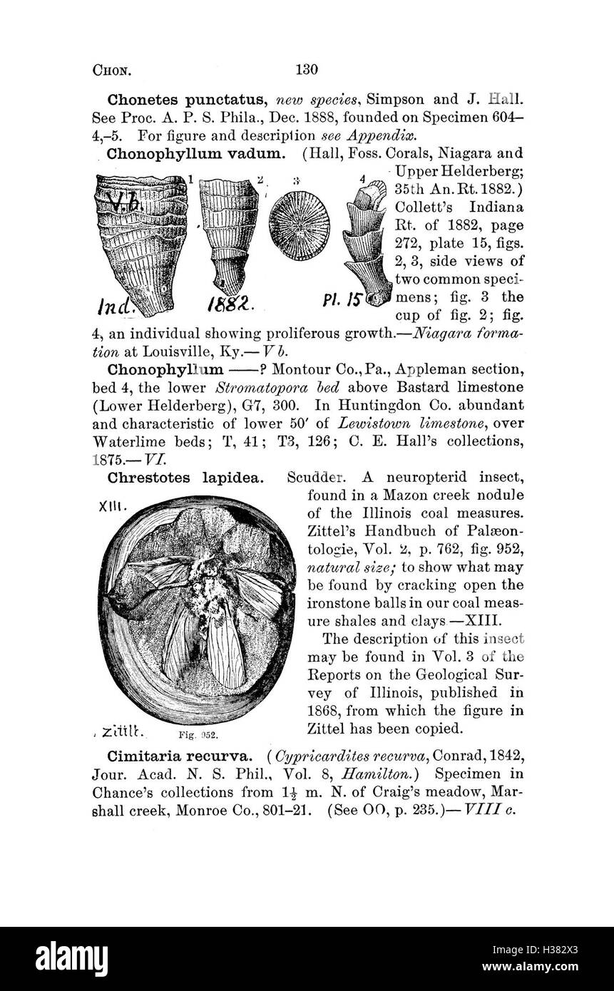 Ce dictionnaire fournit des informations complètes sur les fossiles de Pennsylvanie et des régions avoisinantes, détaillant les noms des espèces et les découvertes de fossiles à partir des études géologiques. Banque D'Images