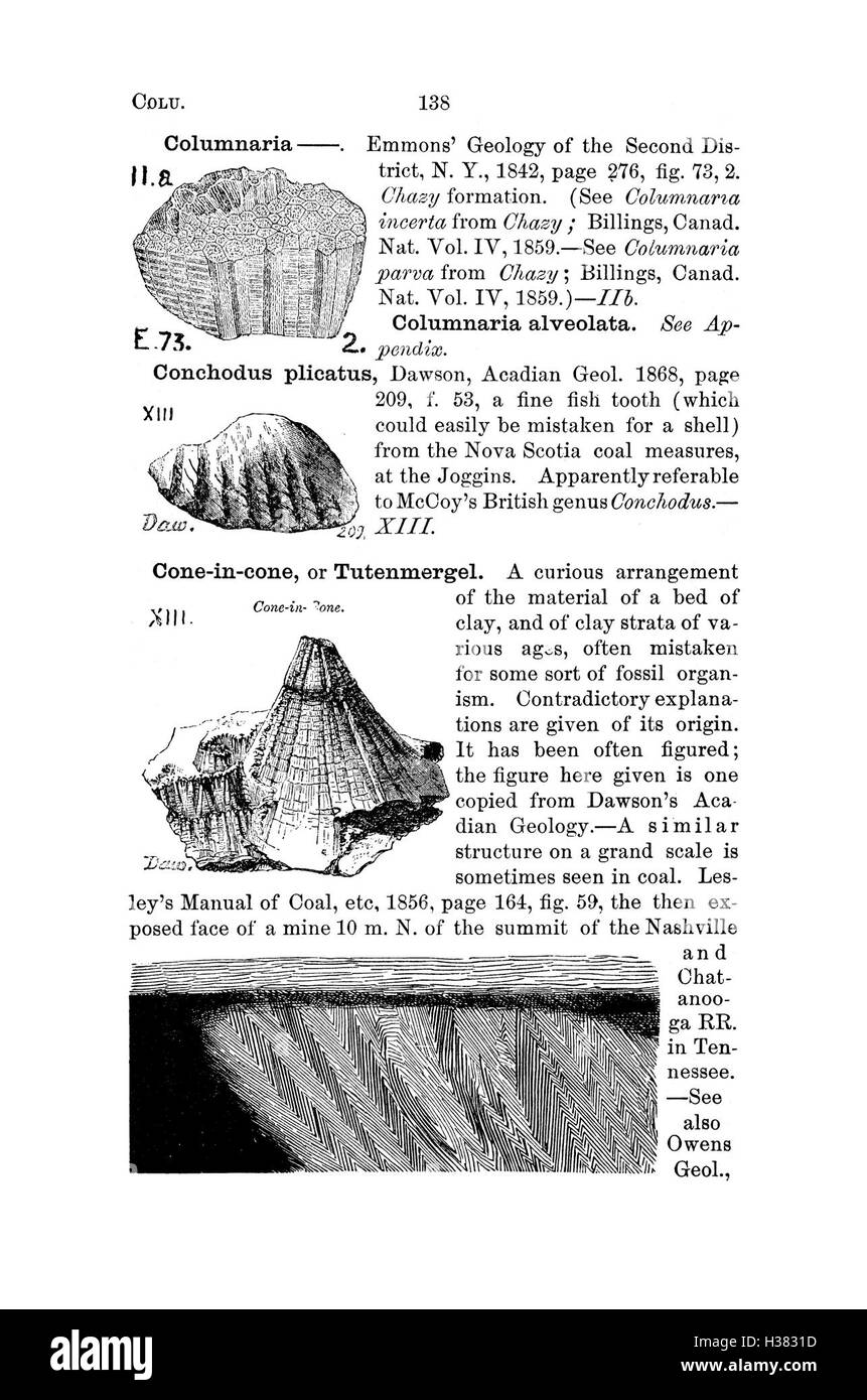 Ce dictionnaire fournit un enregistrement détaillé des fossiles découverts en Pennsylvanie et dans les états environnants, en se concentrant sur les noms des espèces, le contexte géologique et les classifications. Banque D'Images