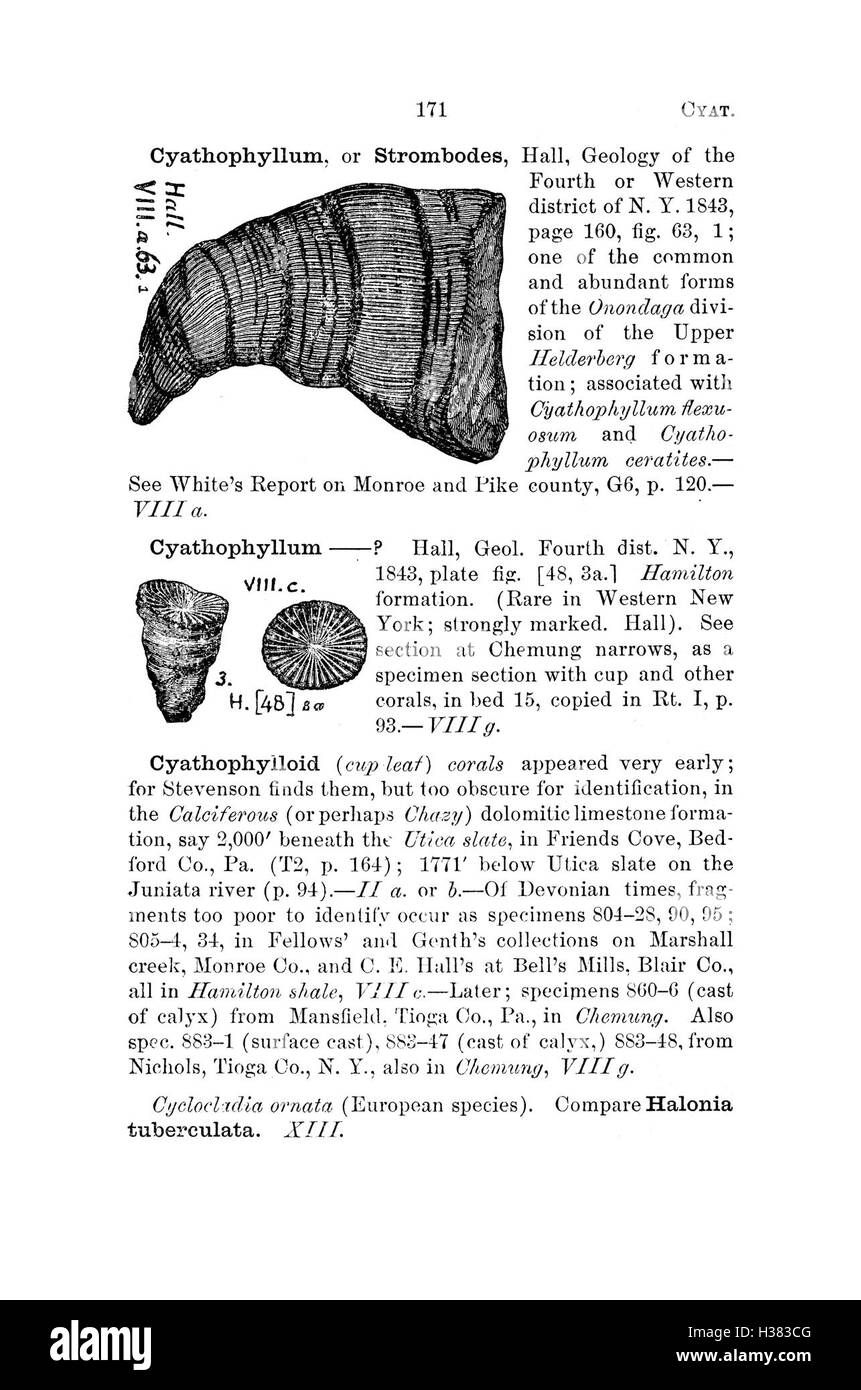 Ce dictionnaire compile les fossiles de la Pennsylvanie et des régions avoisinantes, y compris des descriptions détaillées de chaque espèce trouvée dans les rapports d'enquête et les catalogues. Banque D'Images