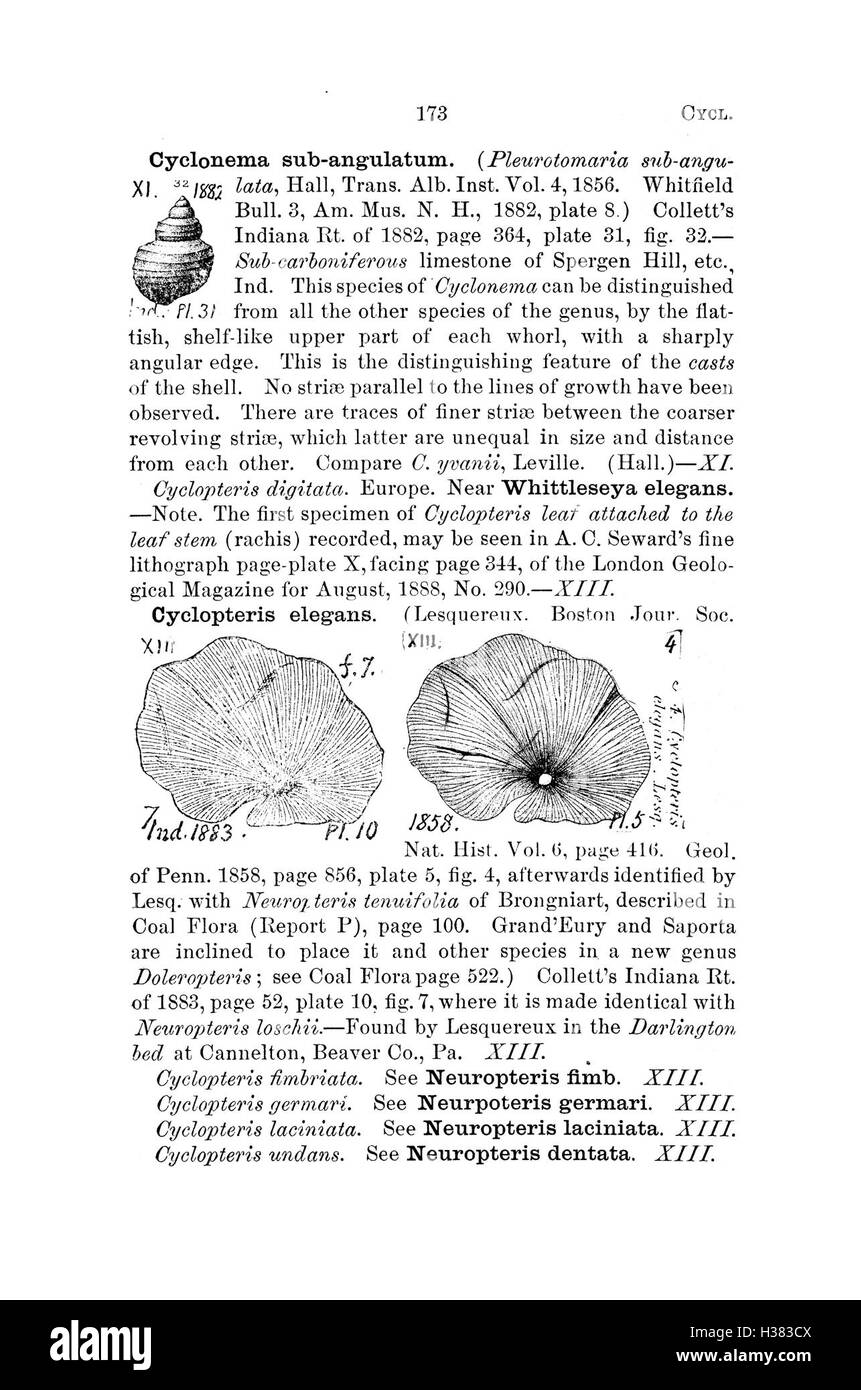 Ce dictionnaire répertorie les fossiles découverts en Pennsylvanie et dans les états environnants, documentant les espèces et leurs contextes géologiques tels que rapportés dans les relevés et les rapports scientifiques. Banque D'Images