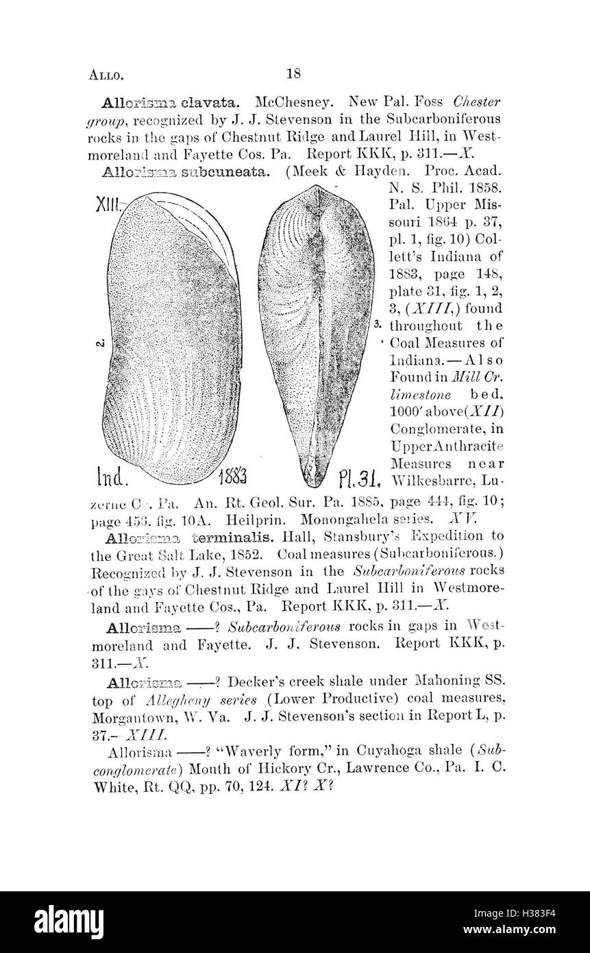 Ce dictionnaire fournit des informations détaillées sur les fossiles trouvés en Pennsylvanie et dans les états voisins, y compris des descriptions, des classifications et des références provenant de relevés géologiques. Banque D'Images