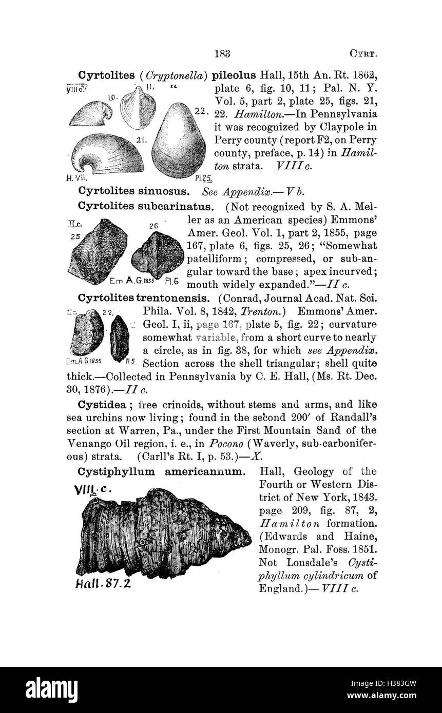 Ce dictionnaire compile les espèces fossiles trouvées en Pennsylvanie et dans les régions avoisinantes, en cataloguant leurs détails tels que rapportés dans diverses études. Banque D'Images