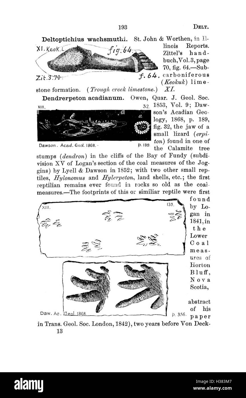 Ce dictionnaire répertorie les espèces fossiles trouvées en Pennsylvanie et dans les régions avoisinantes, fournissant des descriptions, des classifications et l'histoire des découvertes fossiles dans la région. Banque D'Images