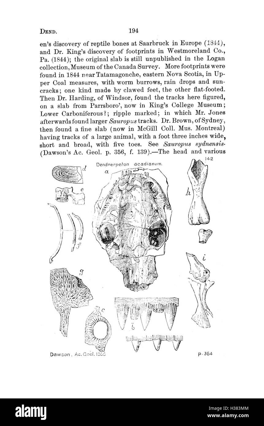 Un dictionnaire de référence couvrant les fossiles de Pennsylvanie et des états environnants, détaillant les noms des espèces et les rapports de fossiles des études. Banque D'Images