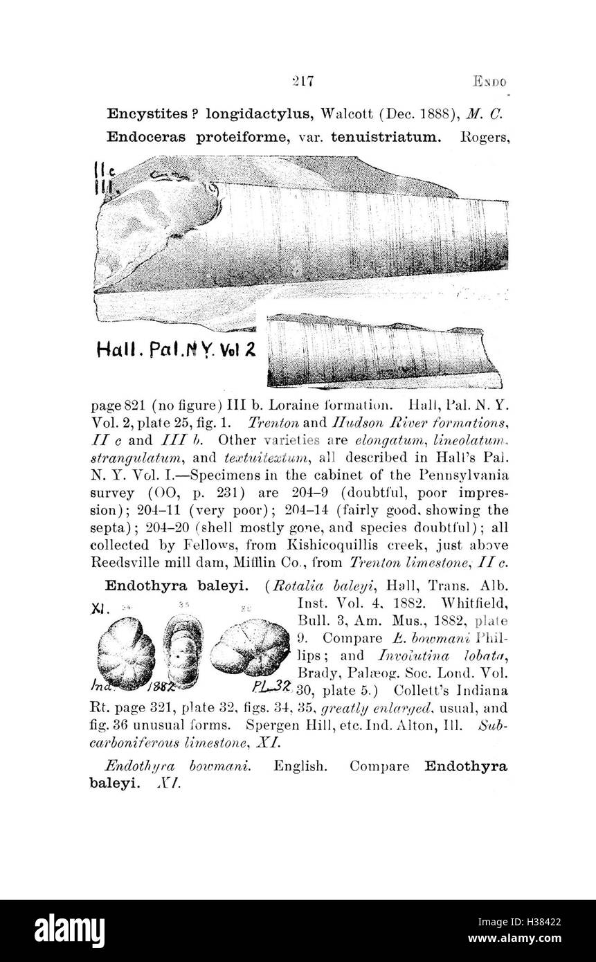 Ce dictionnaire compile les espèces fossiles trouvées en Pennsylvanie et dans les états environnants, énumérant les noms et les détails tels qu'ils sont consignés dans les relevés et les rapports géologiques. Banque D'Images