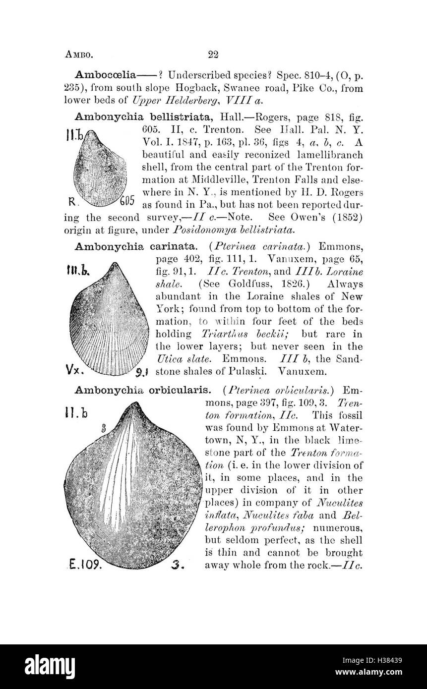 Ce dictionnaire compile les fossiles trouvés en Pennsylvanie et dans les régions avoisinantes, documentant leurs espèces et leur classification telles que rapportées dans les études géologiques. Banque D'Images