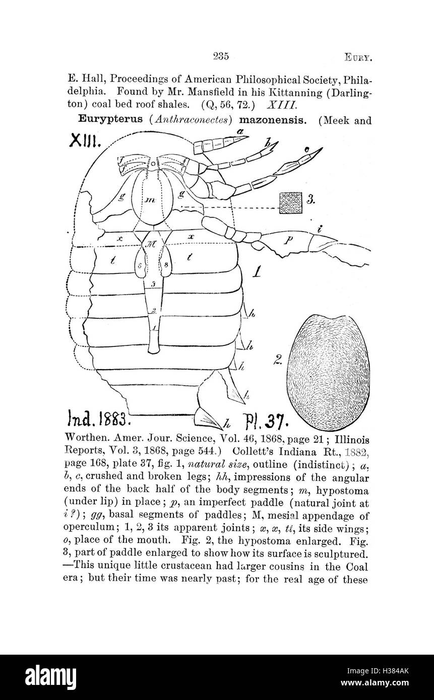 Ce dictionnaire fournit des descriptions détaillées des fossiles trouvés en Pennsylvanie et dans les états voisins, y compris leur classification et leur signification géologique. Banque D'Images