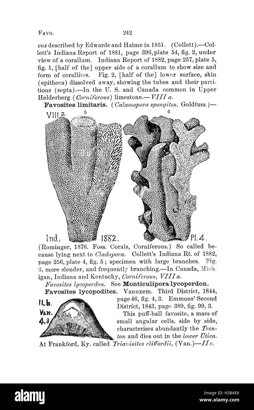 Ce dictionnaire répertorie les espèces fossiles identifiées en Pennsylvanie et dans les états voisins, à partir de relevés et de rapports pour documenter les résultats paléontologiques. Banque D'Images