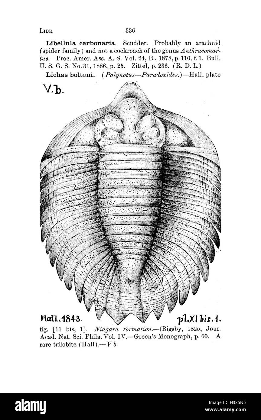 Ce dictionnaire fournit une liste alphabétique des fossiles de Pennsylvanie et des états voisins, y compris l'identification, la classification et les informations géologiques. Banque D'Images