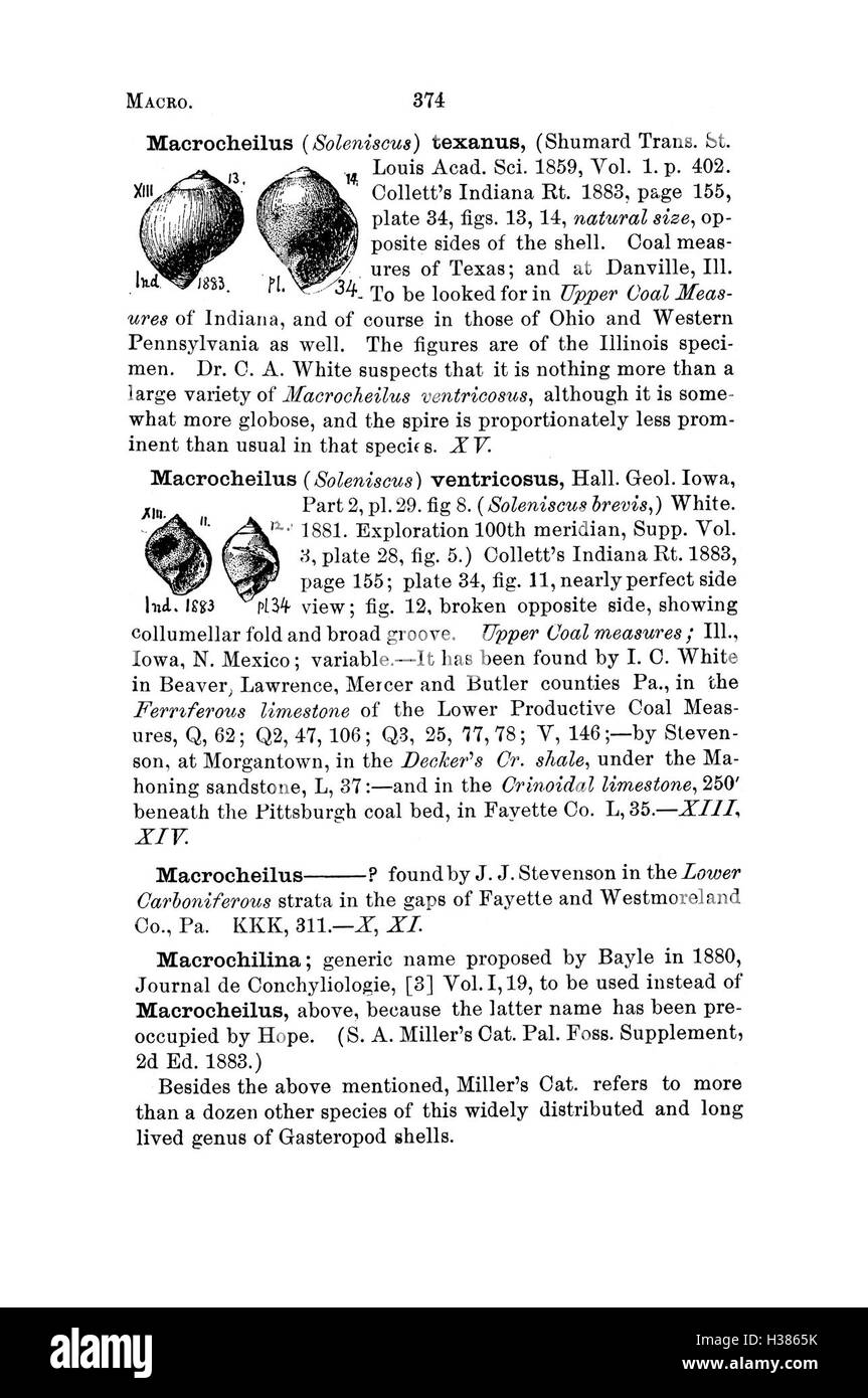 Ce dictionnaire répertorie les fossiles trouvés en Pennsylvanie et dans les régions environnantes, en fournissant des noms, des descriptions et une classification basés sur des études scientifiques. Banque D'Images