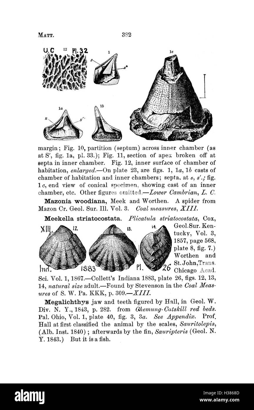 Ce dictionnaire répertorie les espèces fossiles trouvées en Pennsylvanie et dans les états environnants, détaillant leurs noms et classifications tels que rapportés dans les études géologiques et les rapports de recherche. Banque D'Images