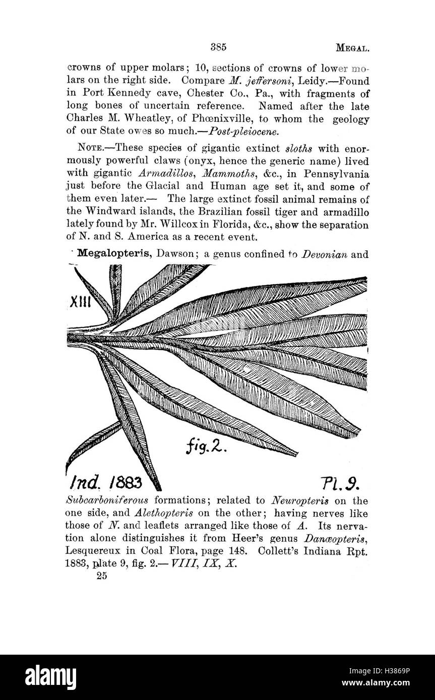 Ce dictionnaire fournit des informations détaillées sur les fossiles trouvés en Pennsylvanie et dans les régions avoisinantes, énumérant les espèces identifiées dans les études géologiques. Banque D'Images