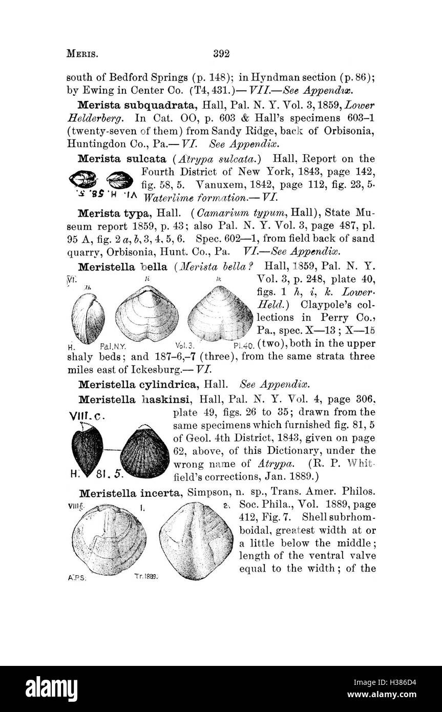 Ce dictionnaire fournit une liste complète des fossiles trouvés en Pennsylvanie et dans les régions avoisinantes, détaillant les noms des espèces et leur signification historique. Banque D'Images