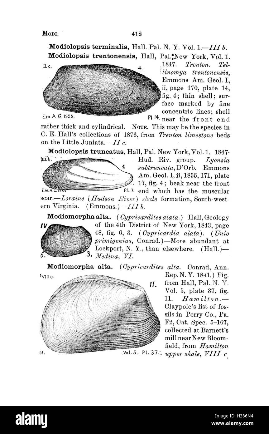 Ce dictionnaire fournit des descriptions détaillées et des classifications des espèces fossiles trouvées en Pennsylvanie et dans les régions avoisinantes, telles que documentées dans les rapports d'enquête. Banque D'Images