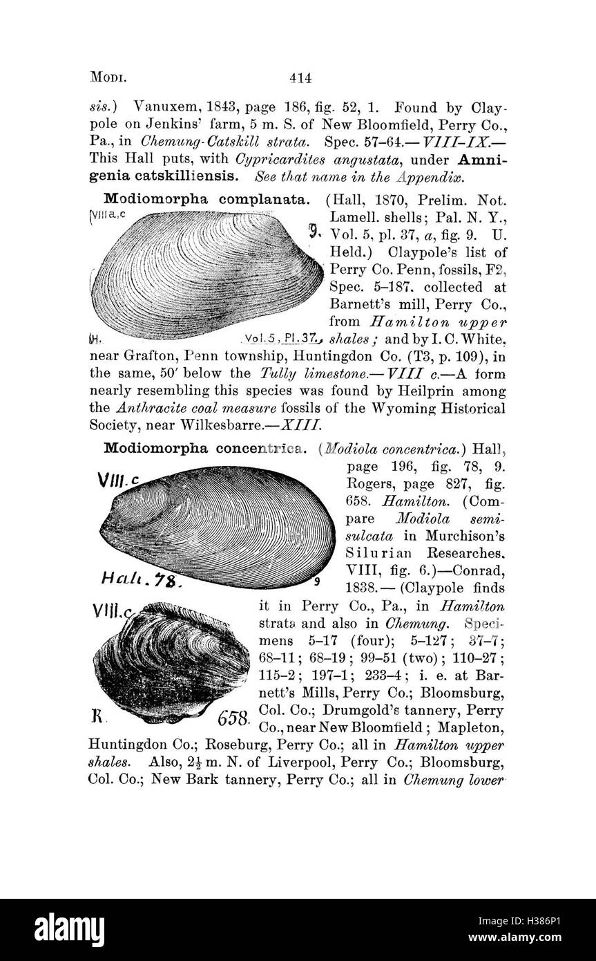 Ce dictionnaire compile les espèces fossiles de Pennsylvanie et des états voisins, offrant des descriptions et des classifications de fossiles basées sur des études géologiques et des rapports. Banque D'Images