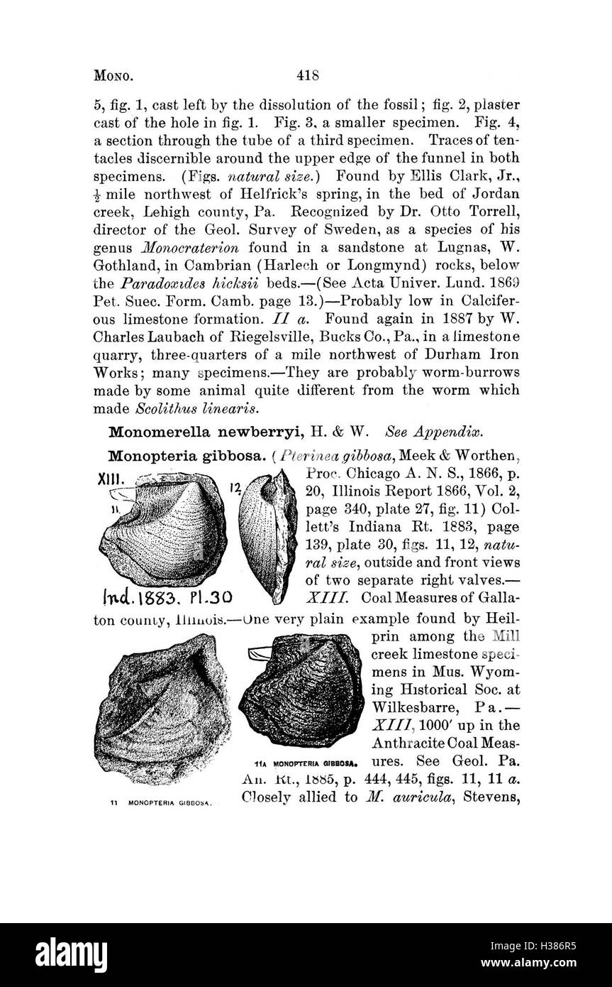 Cette page présente un dictionnaire des fossiles de Pennsylvanie et des états voisins, cataloguant les espèces identifiées dans les études géologiques et offrant un aperçu de leur classification. Banque D'Images