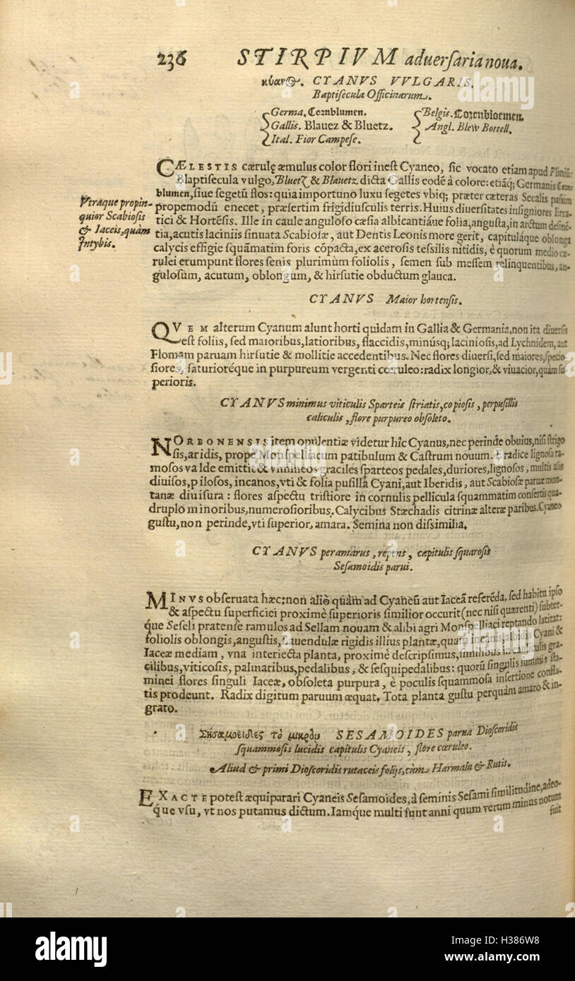 Cette page présente l'histoire des plantes, en mettant l'accent sur la classification des espèces, les études botaniques et les techniques d'identification des plantes. Banque D'Images