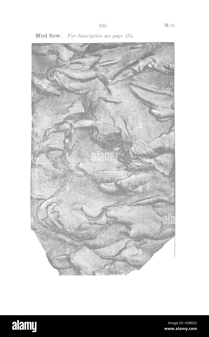 Ce dictionnaire compile les archives fossiles de Pennsylvanie et des régions avoisinantes, référençant des spécimens identifiés dans des relevés historiques et des catalogues, fournissant des informations essentielles pour les études paléontologiques dans la région. Banque D'Images