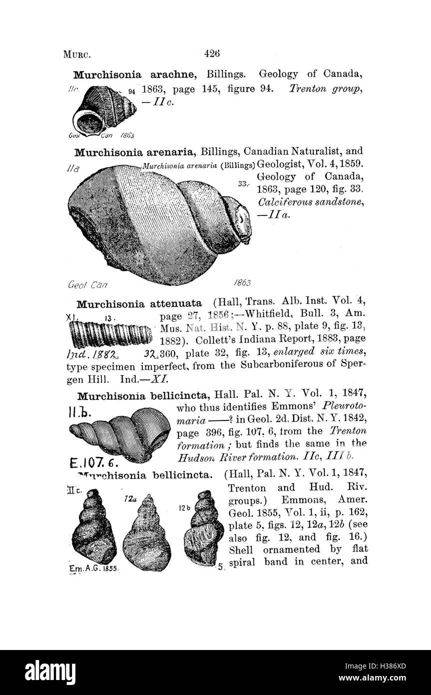 Ce dictionnaire répertorie les fossiles trouvés en Pennsylvanie et dans les états voisins, cataloguant les espèces identifiées dans les rapports d'enquête. Il fournit des informations détaillées sur la découverte et la classification des fossiles dans la région. Banque D'Images