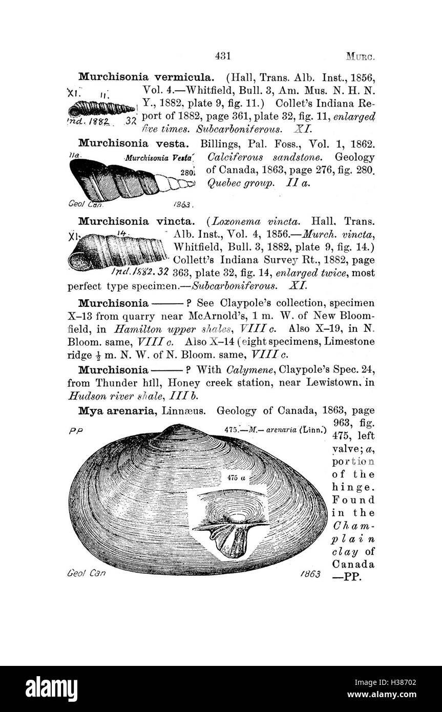 Ce dictionnaire compile les fossiles trouvés en Pennsylvanie et dans les états voisins, documentant leur identification, leur classification et les études géologiques qui les ont découverts. Banque D'Images