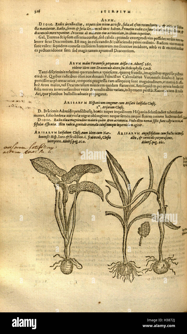 Un travail botanique de Rembert Dodoens, explorant la taxonomie des plantes, la classification des espèces et l'histoire de l'identification des espèces végétales. Banque D'Images